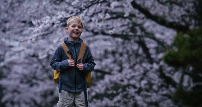 Little boy with backpack standing under beautiful spring cherry blossom trees in Japan