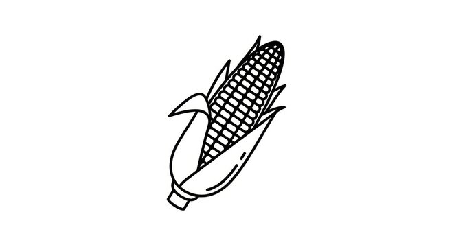 Simple line art drawing of a corn on the cob