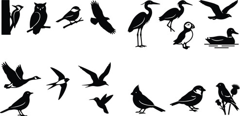 Fototapeta premium A detailed bird vector icon set featuring various silhouette icon designs of different avian species in black and white