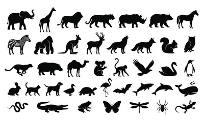 Fototapeta premium Decorative African wildlife silhouette vector illustration with birds and animals