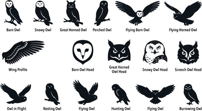 A detailed bird vector icon set featuring various owl silhouettes, including a silhouette icon of a flying owl