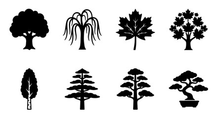 Diverse Tree Silhouettes Collection, Nature Icons Set, Botanical Vector Graphics, Organic Shapes for Design © Shahinur