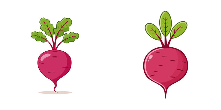 Set of Colorful Beet Root Vegetables with Green Leaves for Healthy Eating
