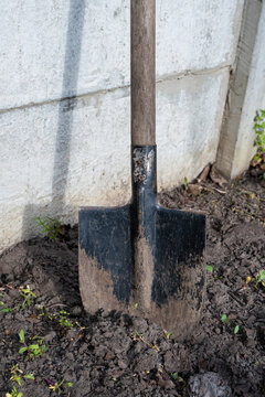 a dirty, weathered metal shovel blade resting vertically in dark, clumpy garden soil against a light concrete wall.