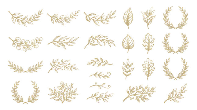 A collection of golden laurel leaves and wreaths on a white background , jpg, vector icons sets, png,