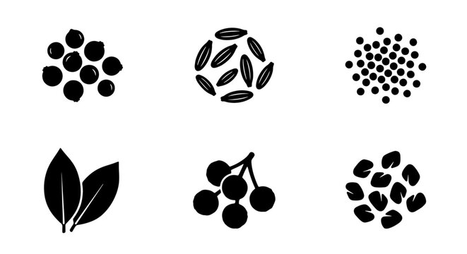 Spice Icons Set: Black and White Vector Graphics of Culinary Ingredients, Herbs, and Seeds for Food Design and Recipes