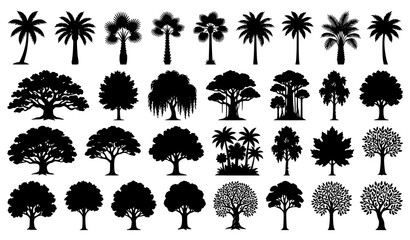 Broadleaf and palm tree silhouette vector collection with tropical foliage and botanical nature graphics © abdul