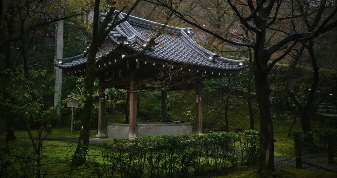 Rain falling on old Japanese structure in lush, spring forest in slow motion