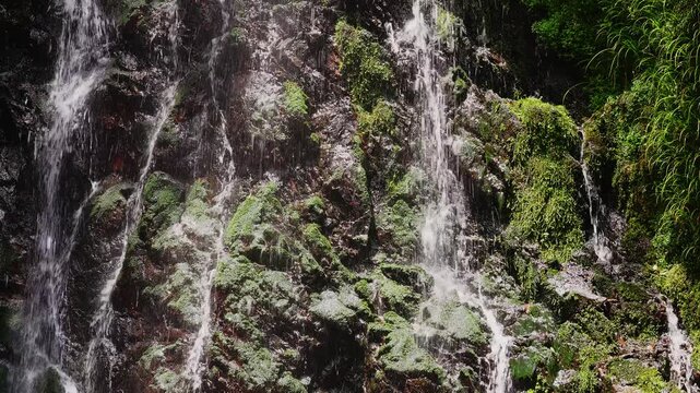 美しい新緑と苔むした黒い岩肌を激しく流れ落ちる清水の滝の急流（佐賀県）