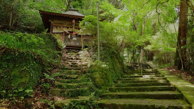 新緑の深い森にひっそりと佇む清水寺の古い木造の社と苔むした美しい石段（佐賀県）
