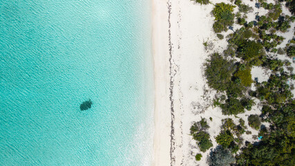 Aerial top-down view of tropical white sand beach and turquoise ocean water in Exuma Bahamas, coastal shore landscape and island vegetation texture. © K.roy