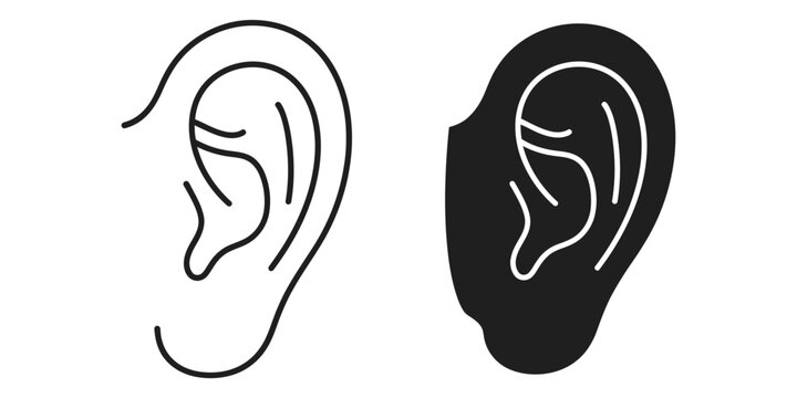 Human ear outline and solid silhouette on white background for medical or audio concepts