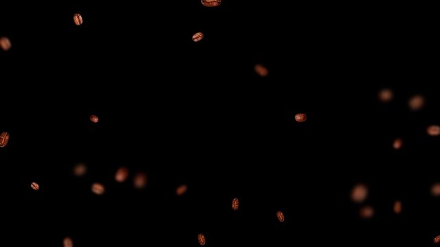 coffee beans falling alpha channel animation, coffee bean drink and coffee shop and cafe social media motion design element