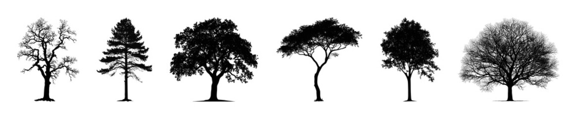 Fototapeta premium PNG Silhouettes of diverse trees on transparent background