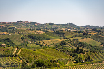 Fototapeta premium Marche, Italy. Spectacular spring landscape of the Marche hills.