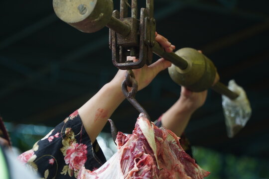 Weighing raw beef meat on a traditional hanging scale hook during Islamic Eid al Adha. Distribution process of sacrificial animal meat for the holy qurban community event. Side view closeup.