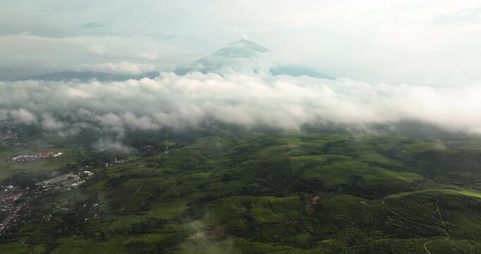Top view of tea plantations on the hillsides in the mountains. Tea estate landscape. Kayu Aro, Sumatra, Indonesia.