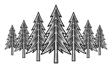 Hand-drawn of a row of pine trees in a forest © Hintsync