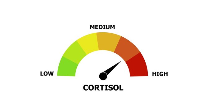 Risk Level Measuring animation. Motion graphics of mater level concept. on a transparent background 4k animation video