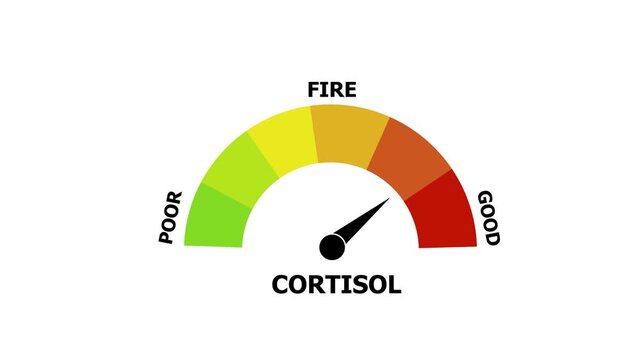 Risk Level Measuring animation. Motion graphics of mater level concept. on a transparent background 4k animation video