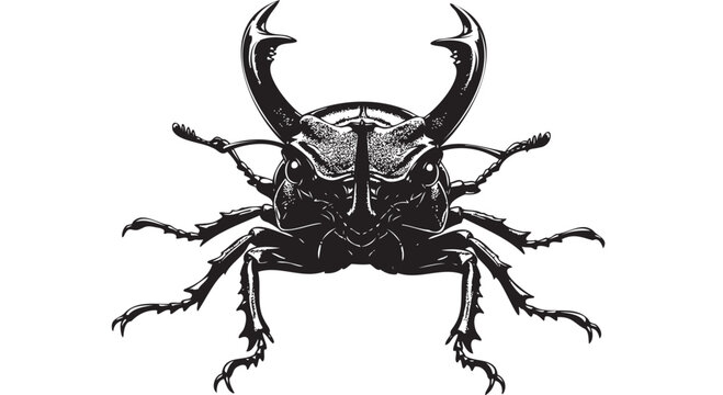 Black beetle, insect illustration, bug vector, wildlife graphic