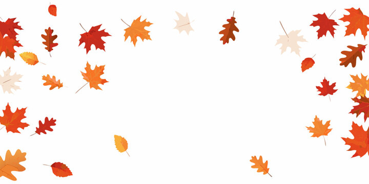 Falling Autumn Leaves Pattern On White Background