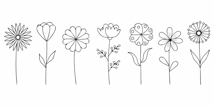 Minimalist Flower Line Art Collection On White Background