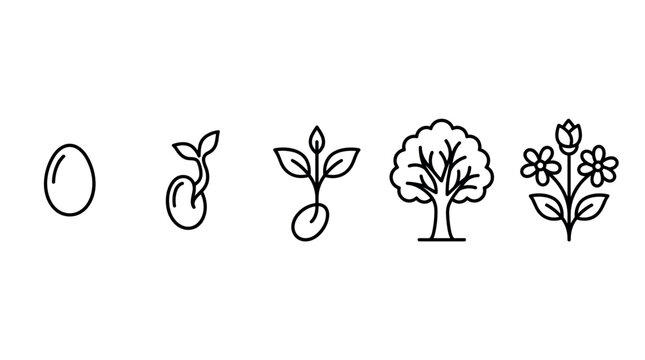 Sequential illustration of plant development showing a seed, germinating sprout, seedling, established tree, and blooming flowers.