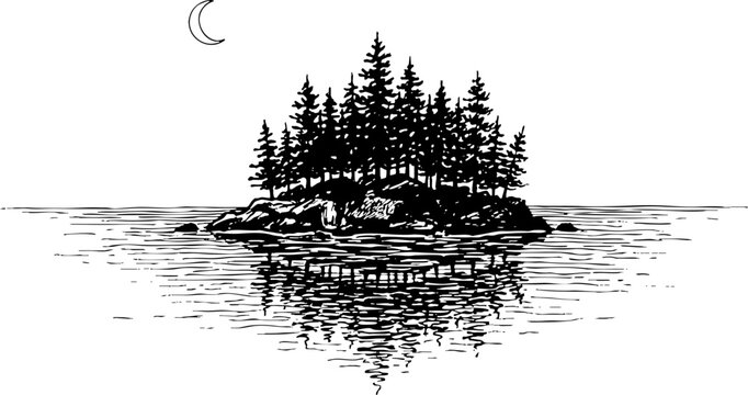 Hand drawn illustration of pine forest island on water at night
