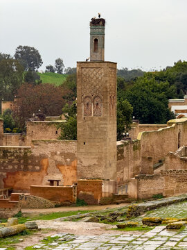 Chellah Ruins and Minaret - Rabat, Morocco