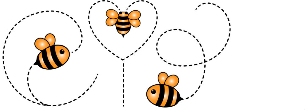 Three bees flight paths