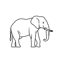 Fototapeta premium Outlined elephant illustration vector art of an african mammal