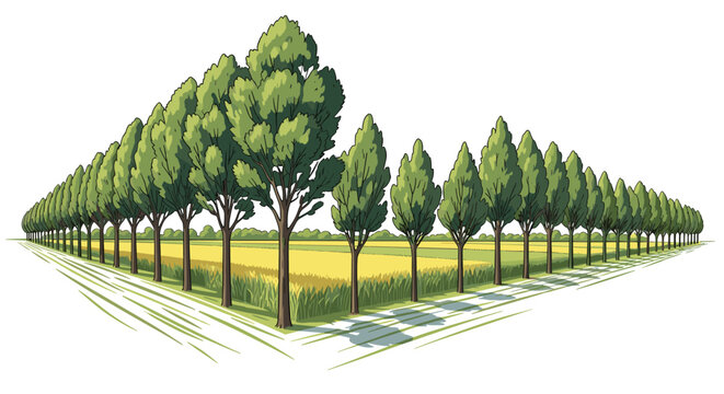 Adobe Illustrator Artwork