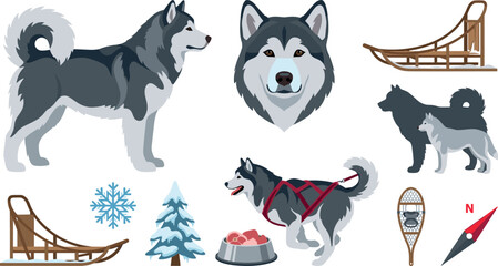 Alaskan Malamute Husky Vector Element Set Featuring Standing and Running Sled Dogs Portrait Head Wooden Sledges Snowflake Snowy Pine Tree and Compass © Mostrenu