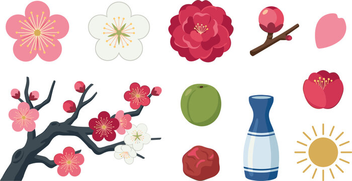 Plum Blossom Vector Element Set with Sakura Camellia Flowers Blooming Branch Bud Ume Fruit Umeboshi Ceramic Sake Bottle and Sun Icons