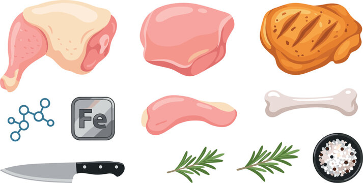 Raw and Grilled Chicken Meat Vector Element Set Featuring Quarter Leg Thigh Fillet Bone Kitchen Knife Rosemary Herbs Salt Shaker and Iron Nutrient Icons