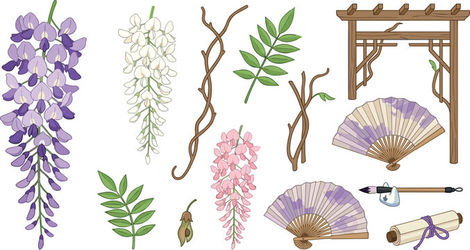Traditional Japanese Wisteria Flower Botanical Vector Set with Purple White Pink Blossoms Wooden Pergola Trellis Folding Fans Ink Brush and Scroll Designs