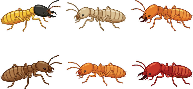 Termite Insect Vector Collection Featuring Different Colored Termite Characters and Pest Control Concepts in Cartoon Illustration Style