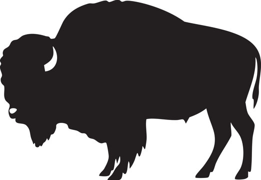 American bison side profile silhouette isolated on transparent background for creative graphic design.