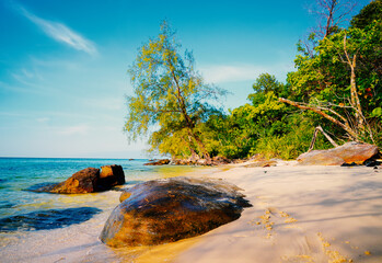 Obraz premium Bright wild beach view with trees and rocks in sunny day near ocean. sand shore during low tide in sunny coastal area in sea on Phu Quoc Island, Vietnam. Sandy beach by ocean with turquoise water. 