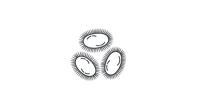 Sea Urchin Outline Vector Illustration
