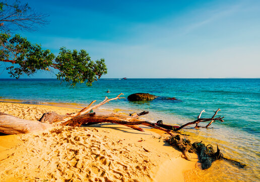 Tropical landscape with beach, turquoise water on shore. Mun Nork Islands of Thailand, Nual Beach on Koh Larn, islands in Trang Province. Idyllic beach landscape in Asia on Phu Quoc Island, Vietnam.