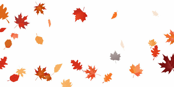 Falling Maple Leaves Pattern With Transparent Background