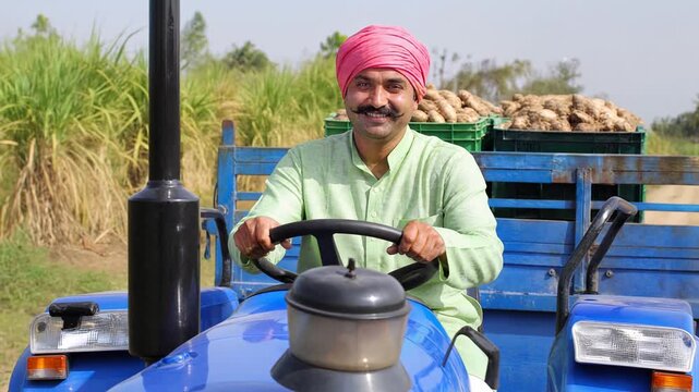 Smiling Indian Punjabi Farmer Driving Blue Tractor with Fresh Potato Harvest in Rural Field
