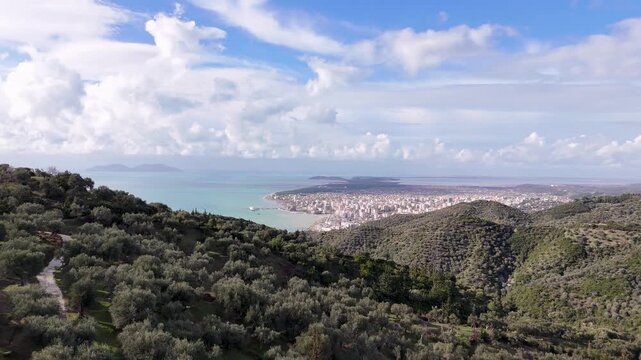 Wide aerial tracking shot flying forward over dense olive orchards and green mountainside ridges, revealing the distant coastal city grid and turquoise bay waters of Vlor&euml;, Albania