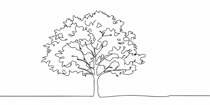Tree Illustration Minimalist Continuous Line Drawing On White Background