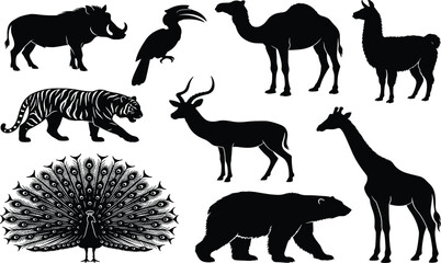 Wild Animal Silhouettes Black Vector Icon Set with Tiger Giraffe Camel Bear Peacock and Exotic Wildlife Shapes for Nature and Zoo Designs © Rakib