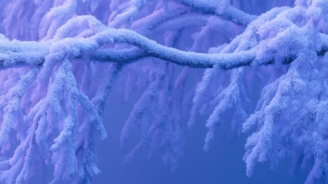Frozen winter branches covered in ice and snow illuminated by blue purple neon lighting, festive luxury aesthetic