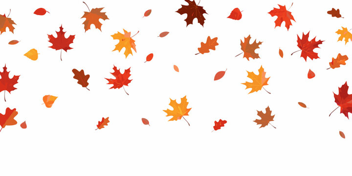 Falling Autumn Leaves A Vector Illustration With A White Background