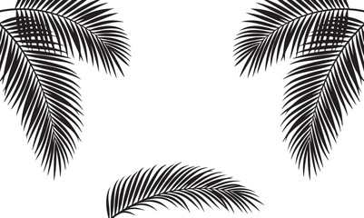 Tropical palm leaves corner arrangement elegant botanical vector design illustration © habiba creative